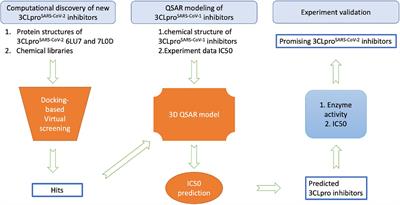 An Integrated Computational and Experimental Approach to Identifying Inhibitors for SARS-CoV-2 3CL Protease